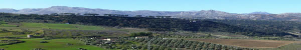 View of the landscape (Ronda)